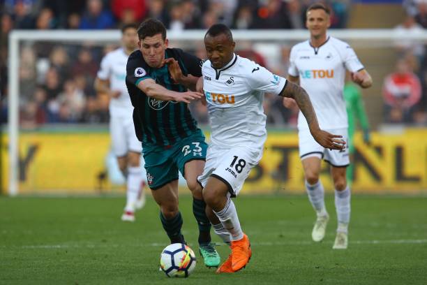 成为了球迷 成为了球迷